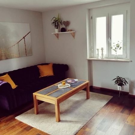 Ferienwohnung Suedschwarzwald 珀丽 外观 照片