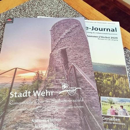 Ferienwohnung Suedschwarzwald 珀丽 外观 照片
